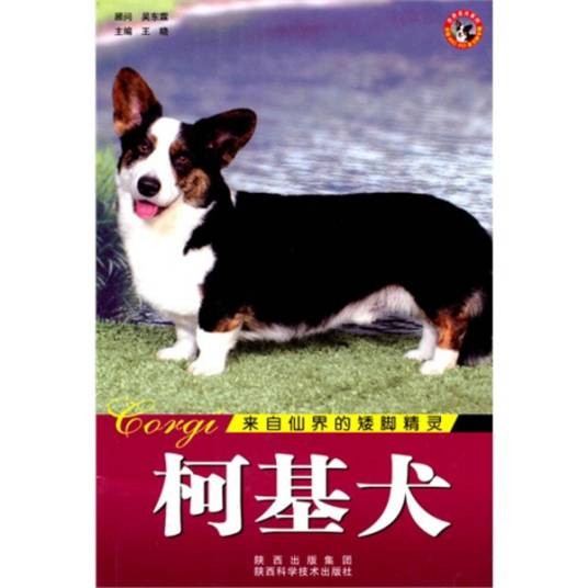 世界名犬:柯基犬