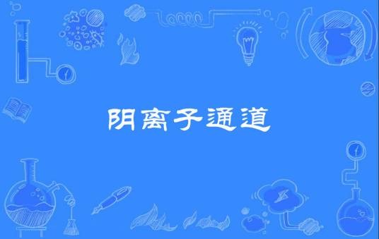 阴离子通道
