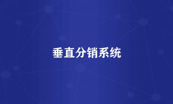 垂直分销系统