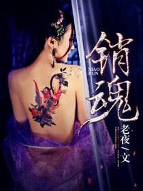 销魂(暗夜文学网小说)