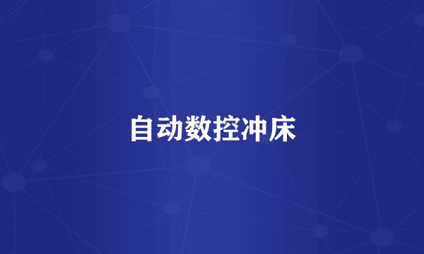 自动数控冲床