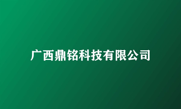 广西鼎铭科技有限公司