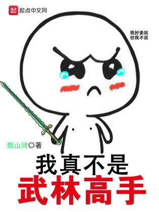 我真不是武林高手