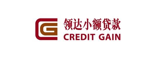深圳市领达小额贷款有限公司
