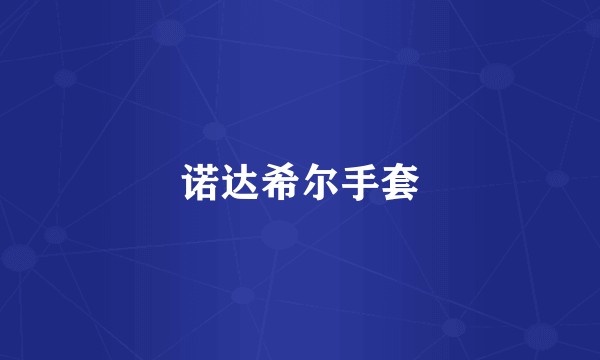 诺达希尔手套