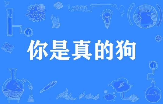 你是真的狗