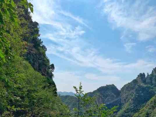 清风岭省级自然保护区