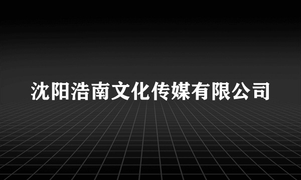 沈阳浩南文化传媒有限公司