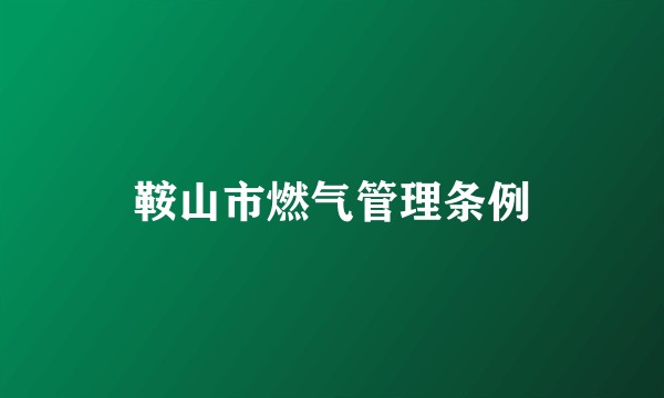 鞍山市燃气管理条例