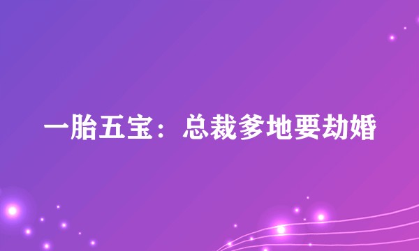一胎五宝：总裁爹地要劫婚