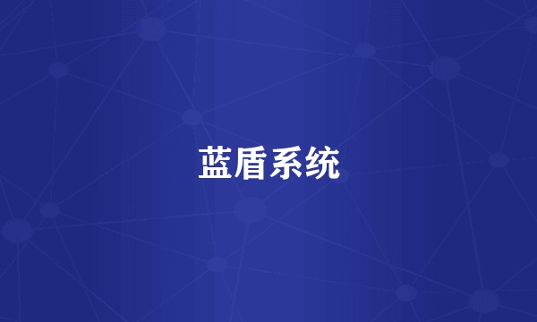 蓝盾系统