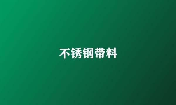 不锈钢带料