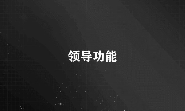领导功能