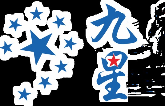 深圳市九星企业会计代理有限公司