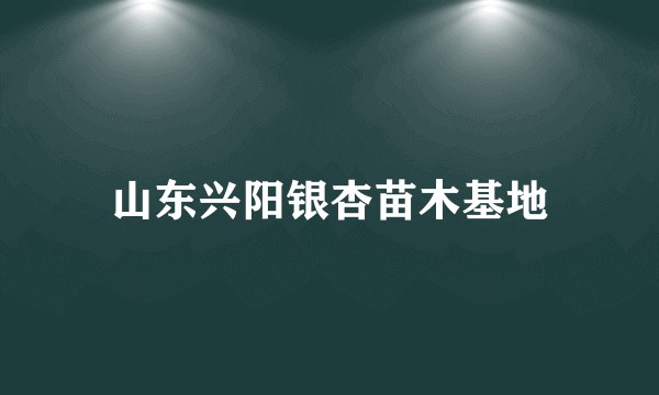 山东兴阳银杏苗木基地