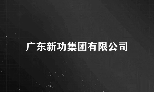 广东新功集团有限公司