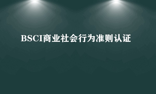 BSCI商业社会行为准则认证
