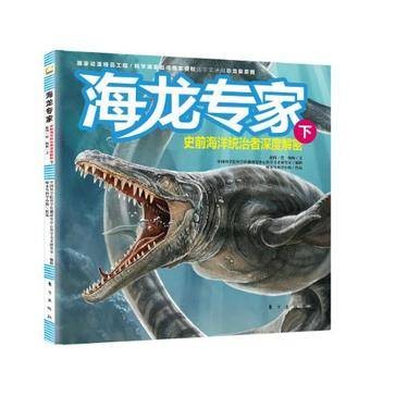 海龙专家(下)