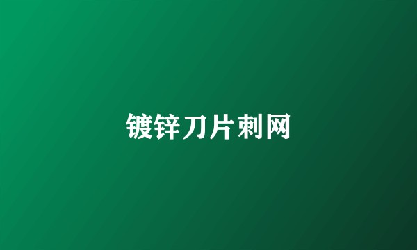 镀锌刀片刺网