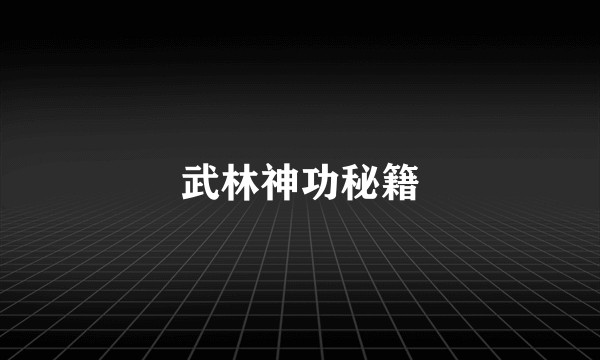 武林神功秘籍