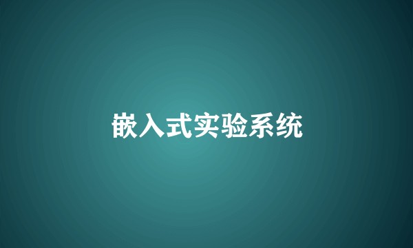 嵌入式实验系统
