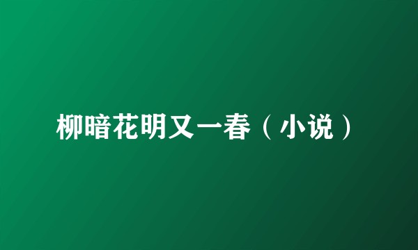 柳暗花明又一春（小说）