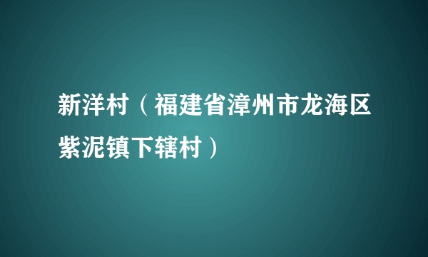 新洋村（福建省漳州市龙海区紫泥镇下辖村）