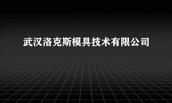 武汉洛克斯模具技术有限公司