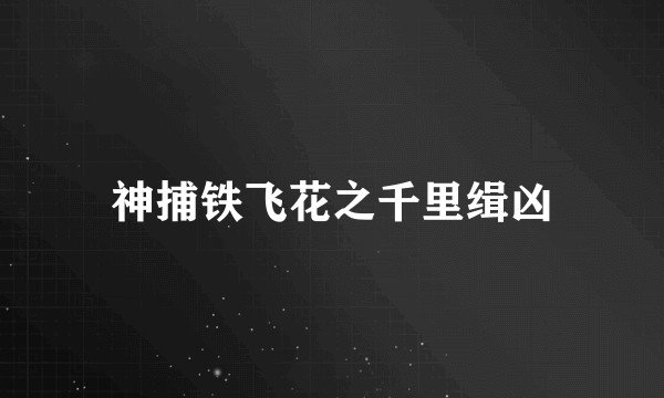神捕铁飞花之千里缉凶