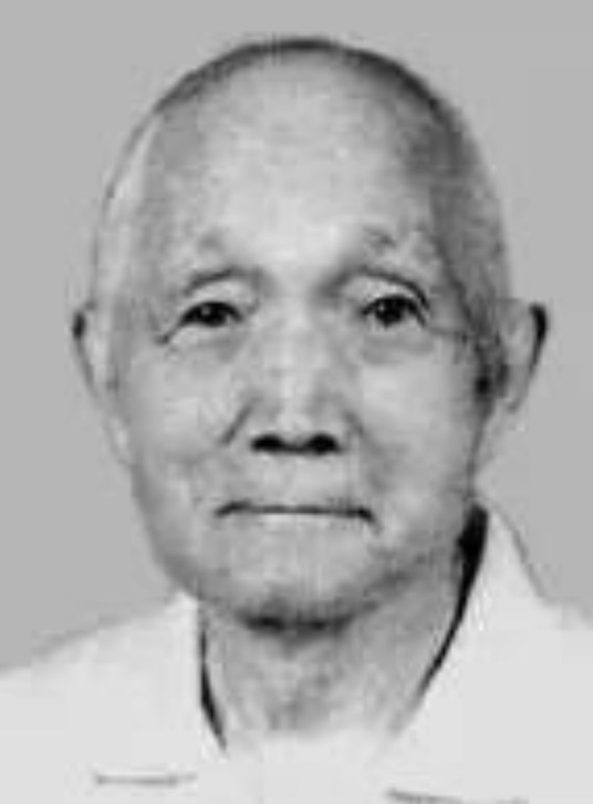鲁大东（中国共产党第十一、第十二届中央委员）