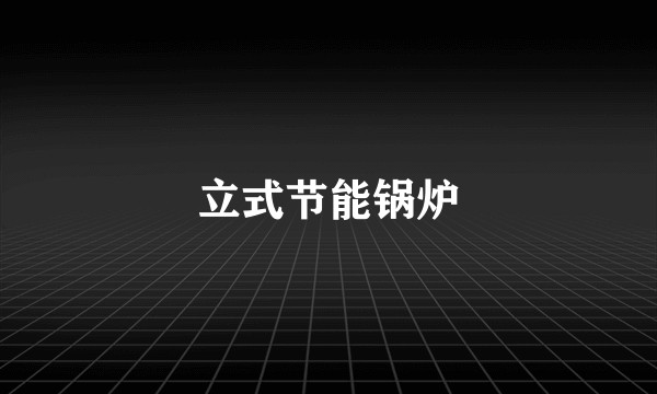 立式节能锅炉