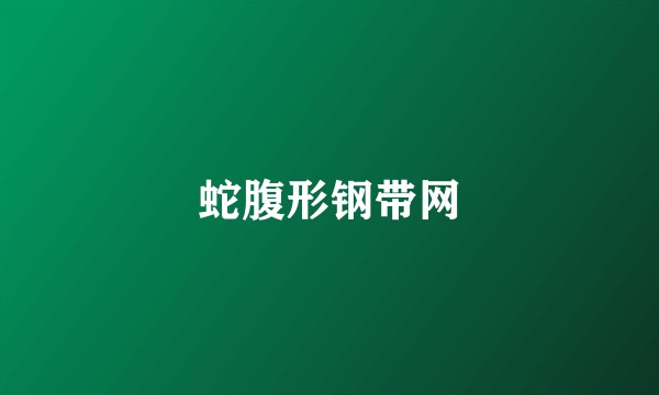蛇腹形钢带网