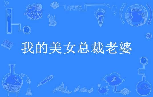 我的美女总裁老婆（火云所著小说）