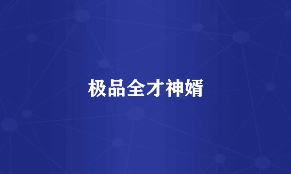 极品全才神婿