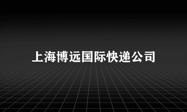 上海博远国际快递公司