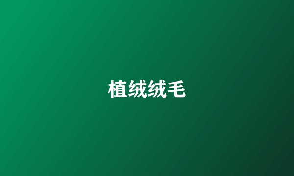 植绒绒毛