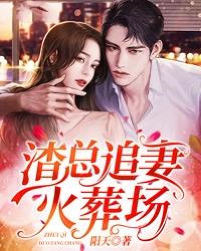 渣总追妻火葬场（阳天所著小说）