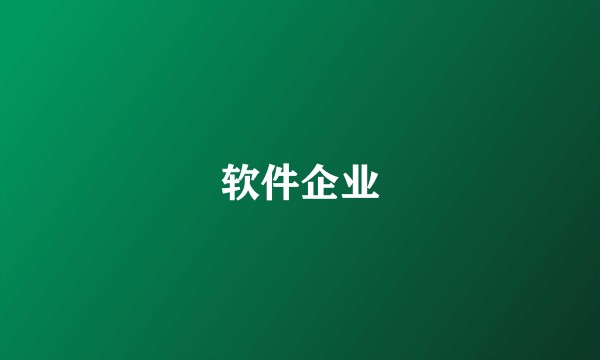 软件企业