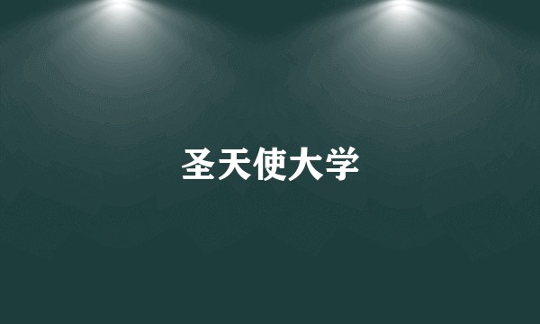 圣天使大学