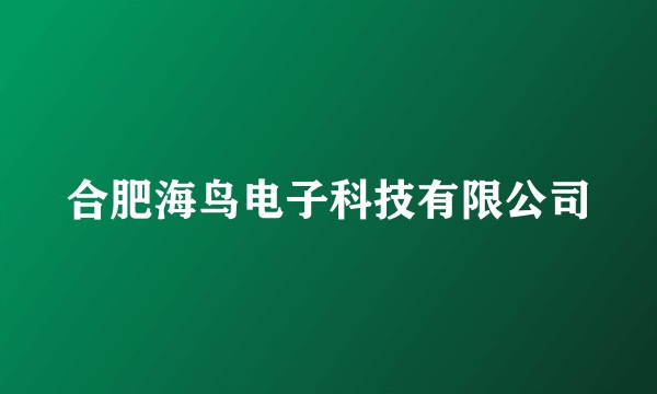 合肥海鸟电子科技有限公司