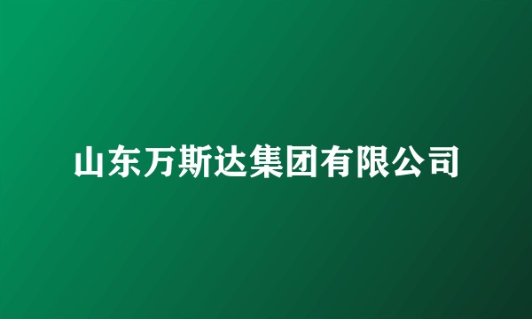 山东万斯达集团有限公司