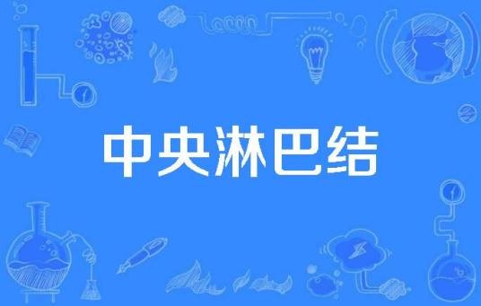 中央淋巴结
