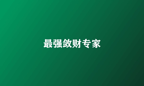 最强敛财专家