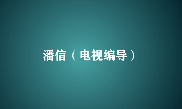 潘信(电视编导)