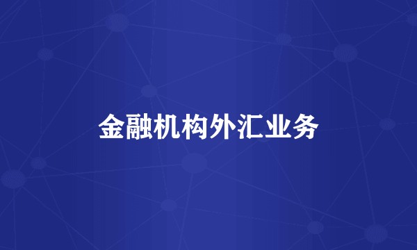 金融机构外汇业务