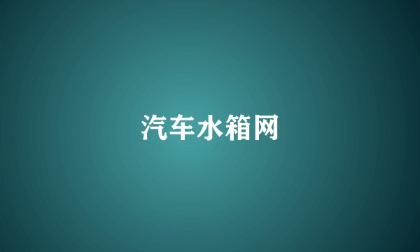 汽车水箱网