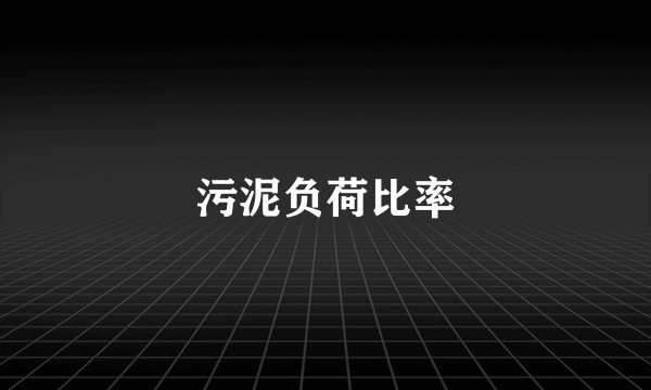污泥负荷比率