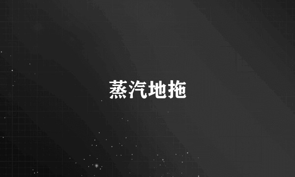蒸汽地拖
