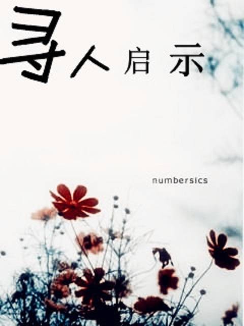 寻人启示（小说名称）
