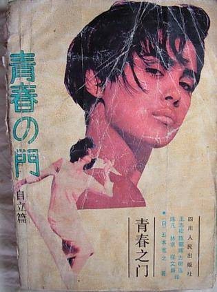 青春之门：自立篇